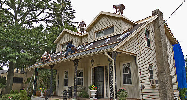 Roofing Contractor